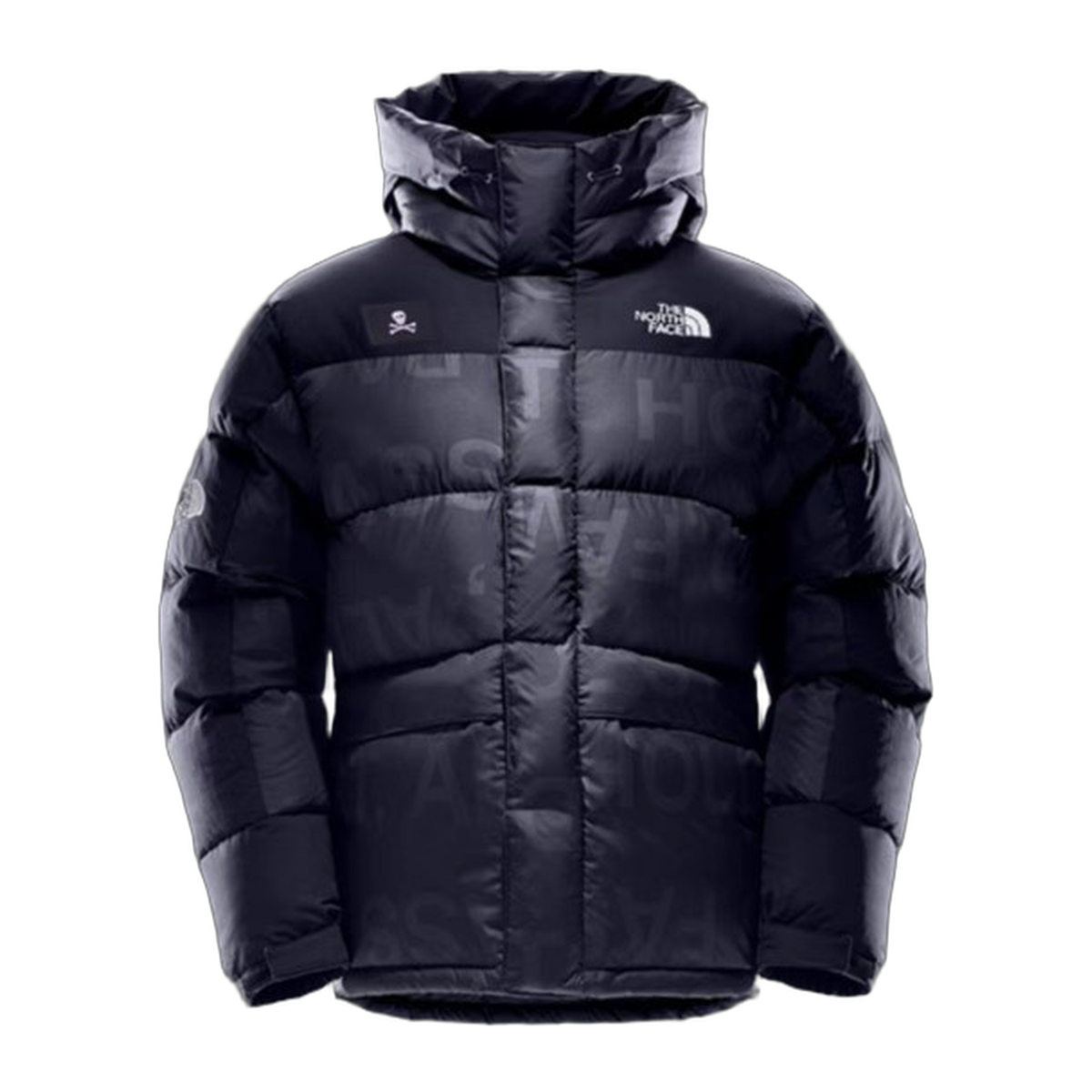 The North Face Urban Exploration UE Special Series Down Parka - 5J27